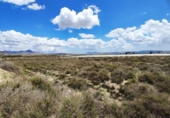 Non-developable land for sale in Novelda ref: TR379654 photo