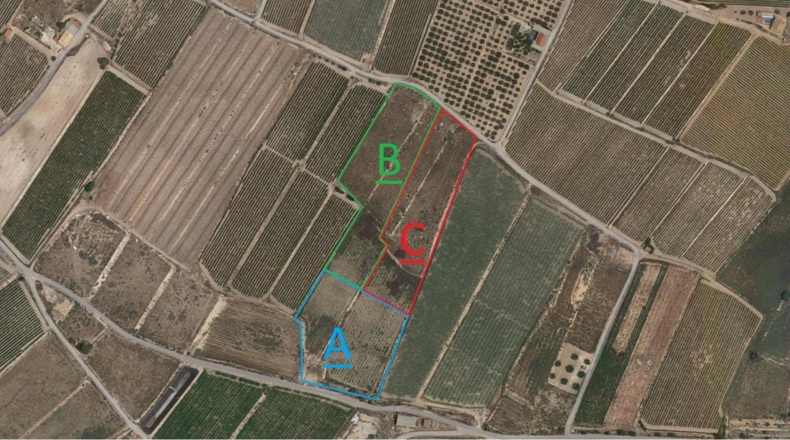 Alicante - Novelda - 12000m2