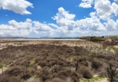 Non-developable land for sale in Novelda ref: TR379654 photo