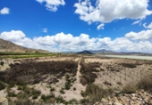 Non-developable land for sale in Novelda ref: TR379654 photo