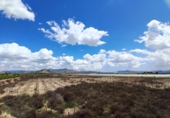 Non-developable land for sale in Novelda ref: TR379654 photo