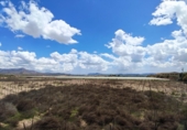 Non-developable land for sale in Novelda ref: TR379654 photo
