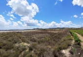Non-developable land for sale in Novelda ref: TR379654 photo