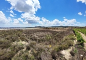 Non-developable land for sale in Novelda ref: TR379654 photo