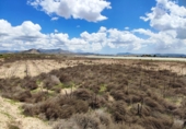 Non-developable land for sale in Novelda ref: TR379654 photo