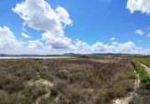 Non-developable land for sale in Novelda ref: TR379654 photo