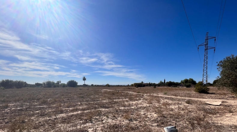 Alicante - Crevillent - 11500m2
