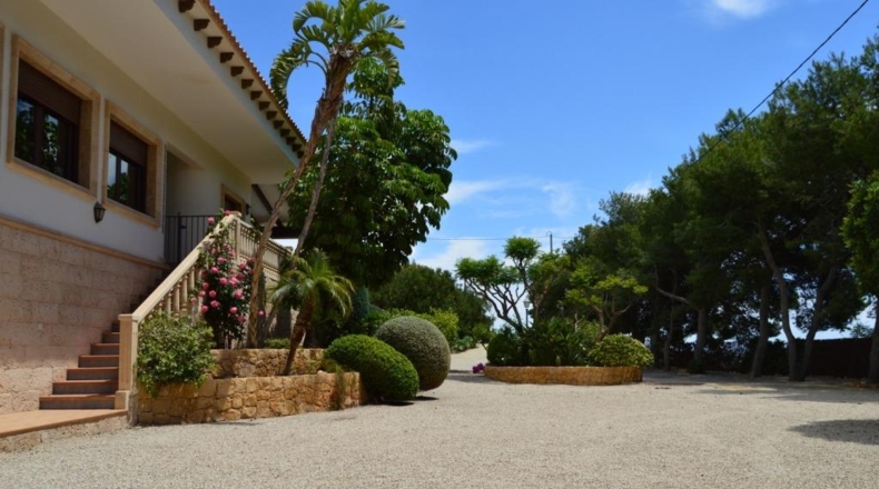 Alicante - Crevillent - 2350m2