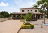Chalet independiente con terreno en venta en Crevillente ref: TR379631 foto