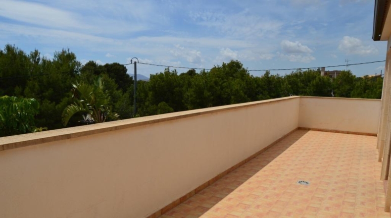 Alicante - Crevillent - 2350m2