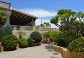 Chalet independiente con terreno en venta en Crevillente ref: TR379631 foto