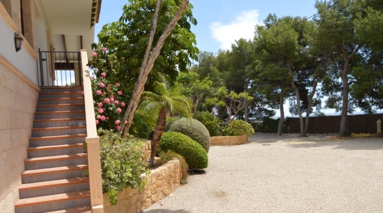 Alicante - Crevillent - 2350m2