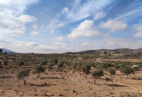 Saix 80000&nbsp;m² 