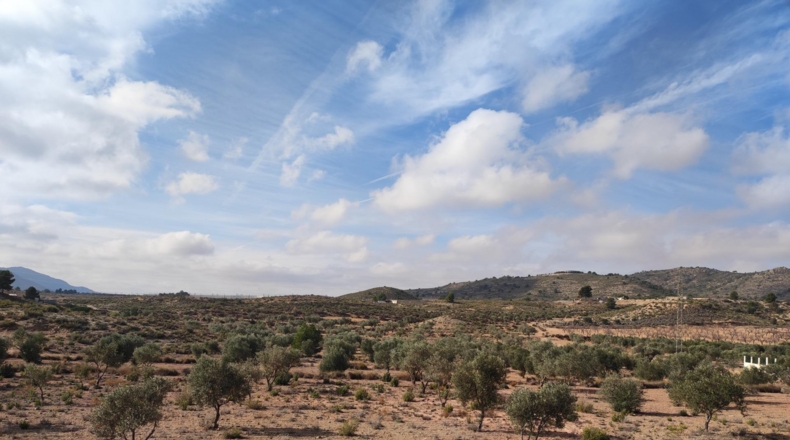 Alicante - Sax - 80000m2