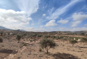 Saix 80000&nbsp;m² 