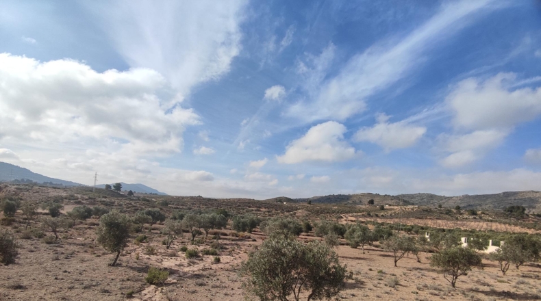 Alicante - Sax - 80000m2