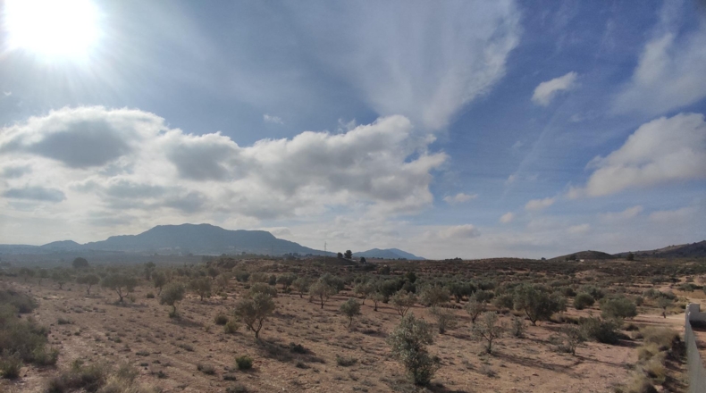 Alicante - Sax - 80000m2