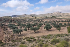 Saix 80000&nbsp;m² 