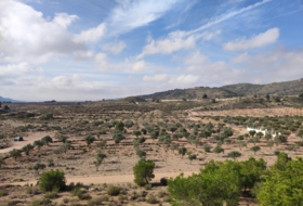 Saix 80000&nbsp;m² 