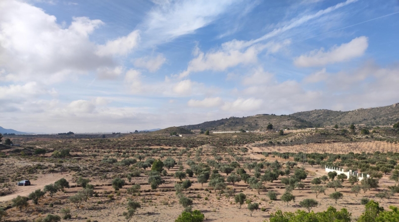 Alicante - Sax - 80000m2