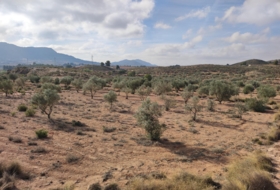 Saix 80000&nbsp;m² 