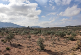 Saix 80000&nbsp;m² 