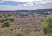 Terreny no urbanitzable en venda a Crevillent ref.: TR379704 foto
