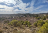 Terreny no urbanitzable en venda a Crevillent ref.: TR379704 foto