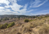 Terreny no urbanitzable en venda a Crevillent ref.: TR379704 foto