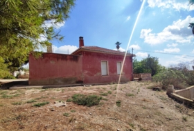 Crevillent 6942&nbsp;m²