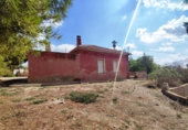 Xalet independent amb terreny en venda a Crevillent ref.: TR379644 foto