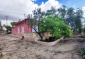 Xalet independent amb terreny en venda a Crevillent ref.: TR379644 foto