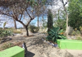 Xalet independent amb terreny en venda a Crevillent ref.: TR379644 foto