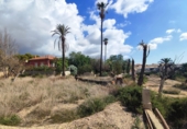 Xalet independent amb terreny en venda a Crevillent ref.: TR379644 foto