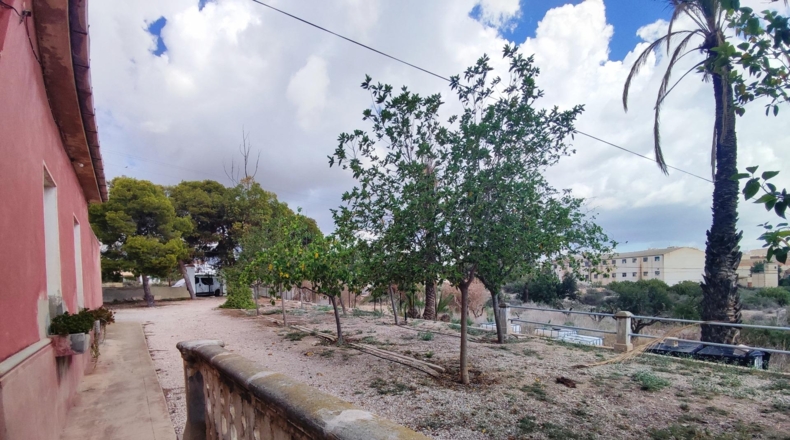 Alicante - Crevillent - 6942m2