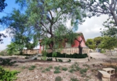 Xalet independent amb terreny en venda a Crevillent ref.: TR379644 foto