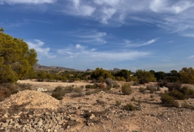 Crevillente 19400&nbsp;м²
