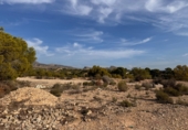 Non-developable land for sale in Crevillent ref: TR379633 photo