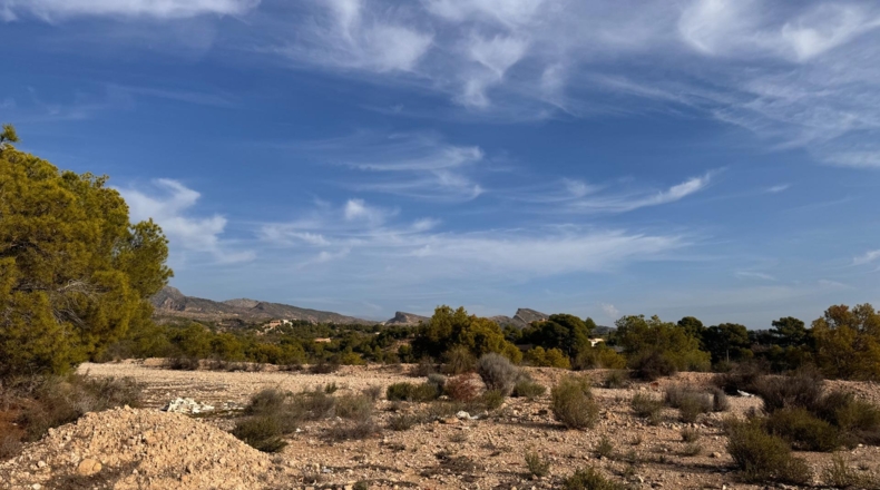 Alicante - Crevillent - 19400m2