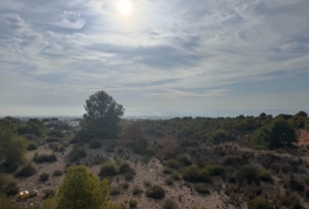 Crevillente 19400&nbsp;м²