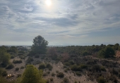 Non-developable land for sale in Crevillent ref: TR379633 photo