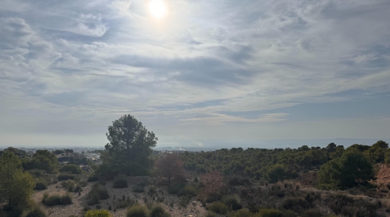 Alicante - Crevillent - 19400m2