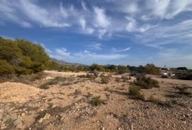 Crevillente 19400&nbsp;м²
