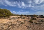 Non-developable land for sale in Crevillent ref: TR379633 photo