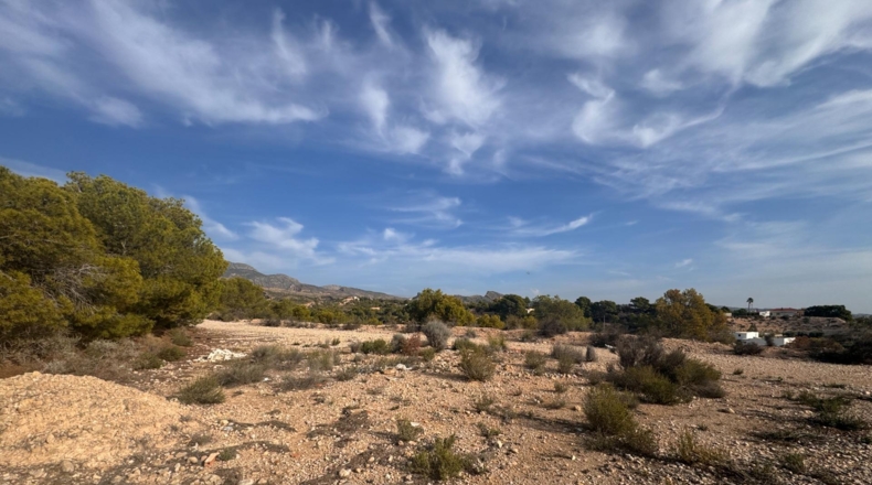 Alicante - Crevillent - 19400m2