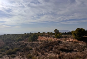 Crevillente 19400&nbsp;м²