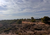 Non-developable land for sale in Crevillent ref: TR379633 photo