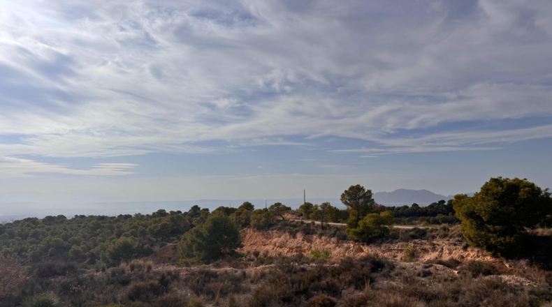 Alicante - Crevillent - 19400m2