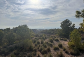 Crevillente 19400&nbsp;м²