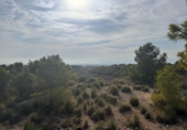 Non-developable land for sale in Crevillent ref: TR379633 photo
